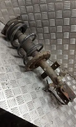 Renault Clio III Front shock absorber with coil spring