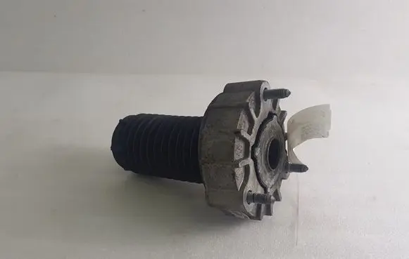 Porsche Panamera (970) Rear shock absorber with coil spring 97034301804