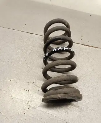 Ford Galaxy Rear coil spring 