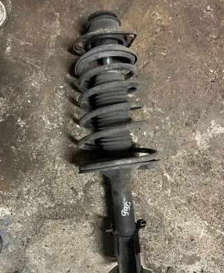 Fiat Doblo Front shock absorber/damper