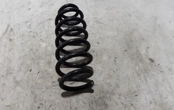 Front coil spring