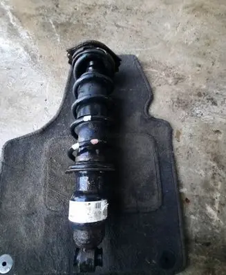Subaru Legacy Rear shock absorber with coil spring 