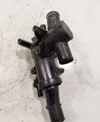 Thermostat/thermostat housing