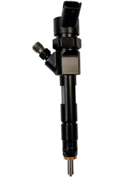 Renault Espace IV Fuel injector 0445110110