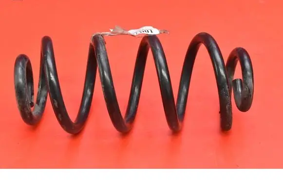Rear coil spring