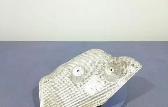 BMW X6 M Exhaust heat shield 7424937