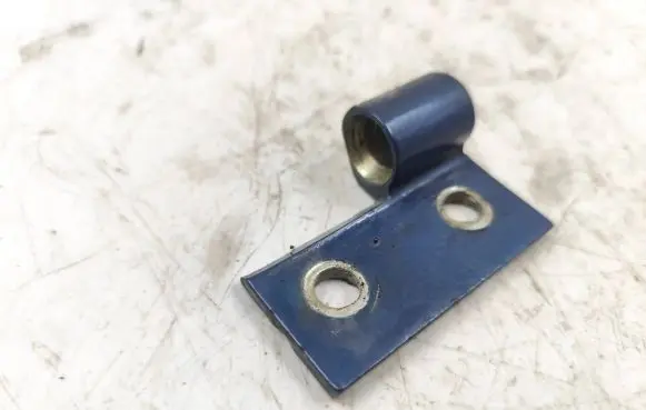 Rear door lower hinge
