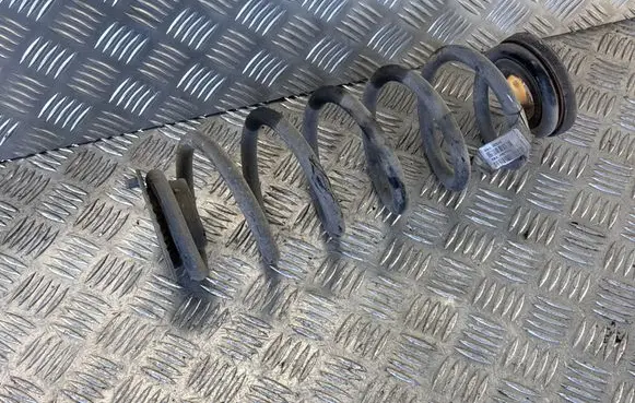 Rear coil spring