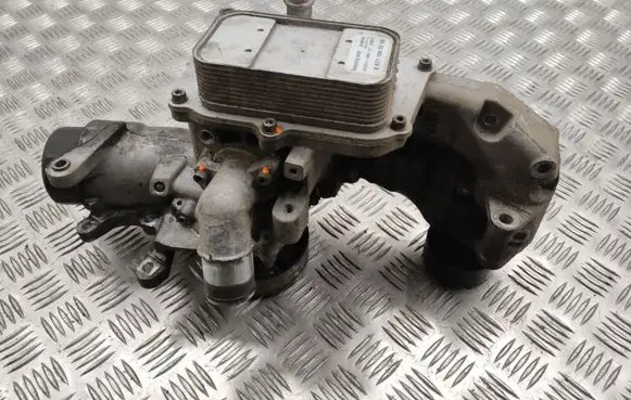 SsangYong Rexton I Engine oil radiator A6711800265