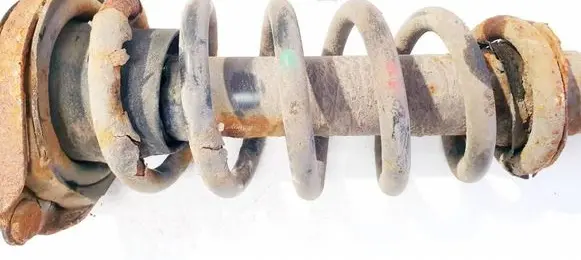 Rear coil spring