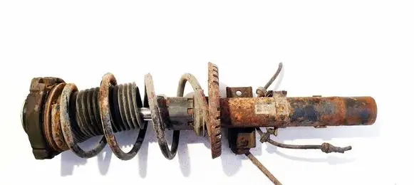 Skoda Praktik (5J8) Front shock absorber/damper 