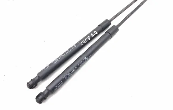 Renault Arkana Tailgate/trunk strut/damper 904520237R