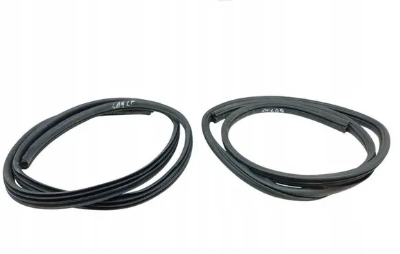 Nissan Qashqai Rubber seal front door (on door)