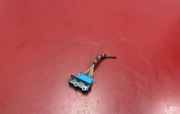 BMW X3 G01 Front door wiring loom 9221027