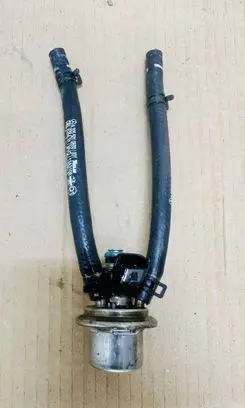 Mercedes-Benz C W205 AdBlue injector A0004901113