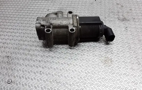 Fiat Doblo EGR valve 50024005