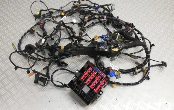 Ford Fiesta Parking sensor (PDC) wiring loom F1BT14A005ECB