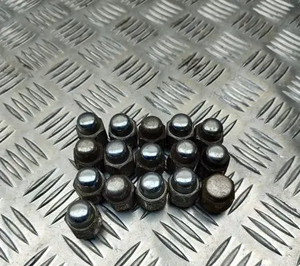 Hyundai Santa Fe Nuts/bolts 52950M1000