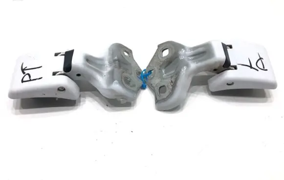 Tailgate/trunk/boot hinge