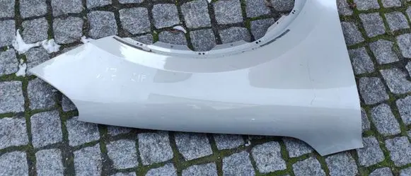 Porsche Cayenne (9Y0 9Y3) Fender 
