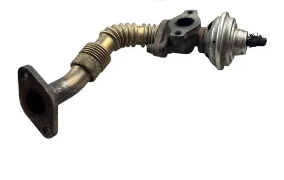 Volkswagen PASSAT B5 EGR valve 028131501E 217230297T079
