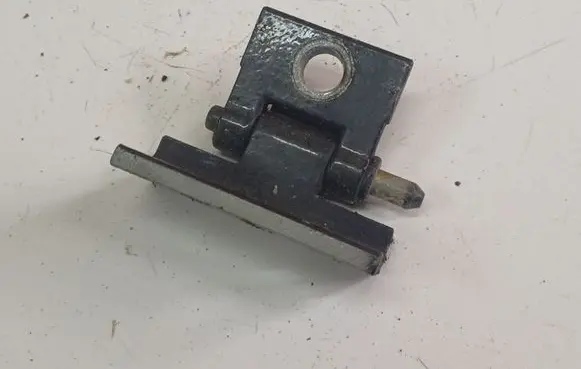 Rear door lower hinge