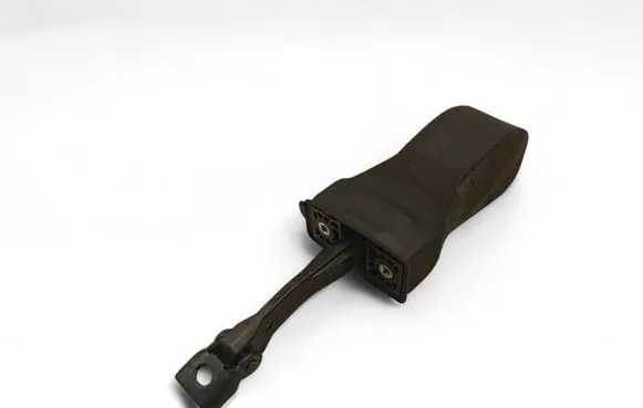 Volkswagen Atlas Rear door check strap stopper 3CN839249