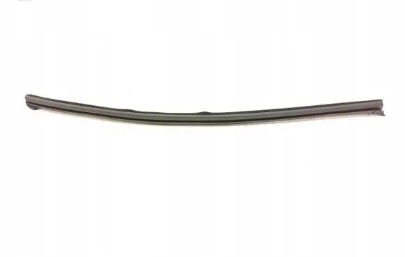 KIA Optima Front door rubber seal 82231D4000