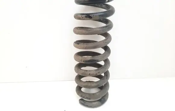 Chrysler 300 - 300C Rear coil spring