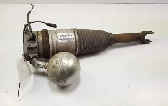 Volkswagen Phaeton Rear shock absorber/damper 3D0616001K