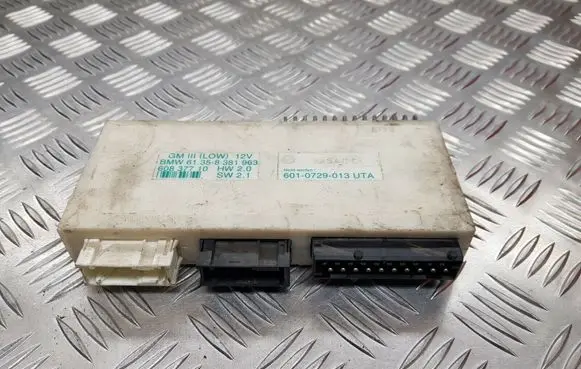 BMW 5 E39 Central body control module 8381963