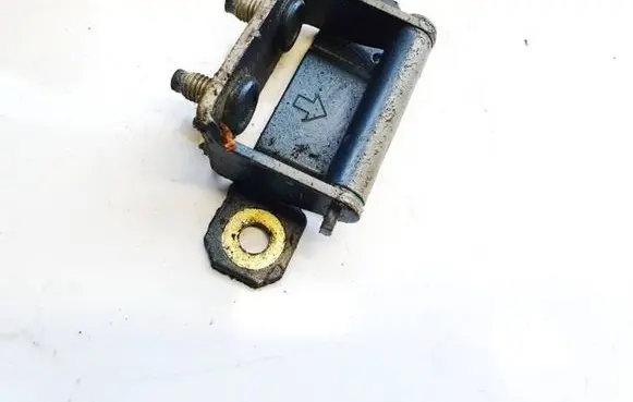 Tailgate/trunk/boot hinge