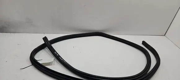 BMW X1 E84 Rear door rubber seal (on body) 0000