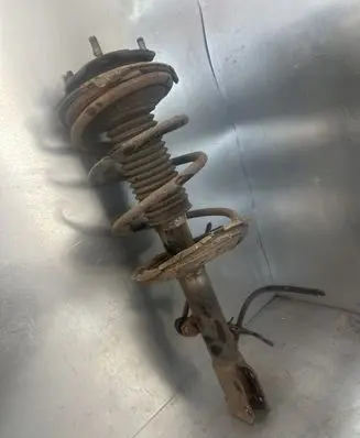 Toyota RAV 4 (XA20) Front shock absorber/damper
