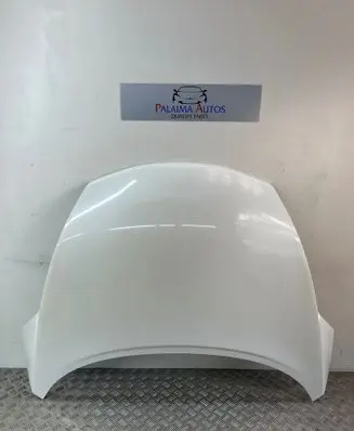 Nissan Juke I F15 Engine bonnet/hood