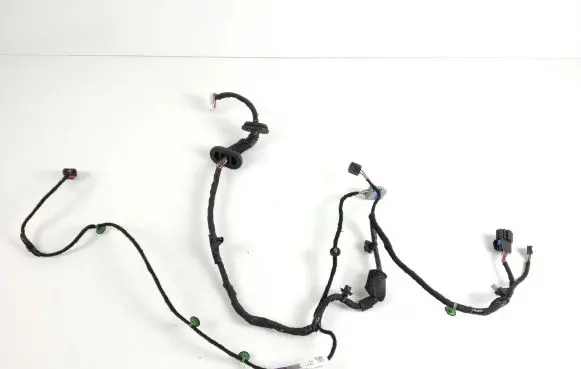 Tesla Model S Rear door wiring loom 248640000C