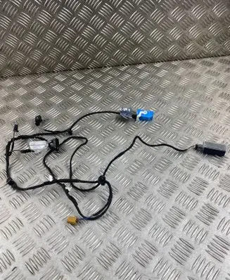 Audi Q5 SQ5 Front door wiring loom 80A971036