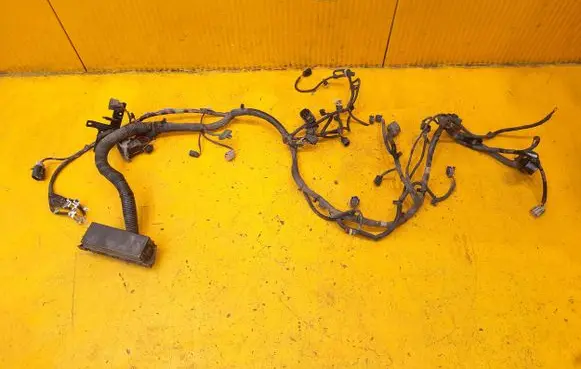 Engine installation wiring loom