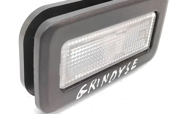 BMW X5 E70 Rear seat light 0005676021 9130838