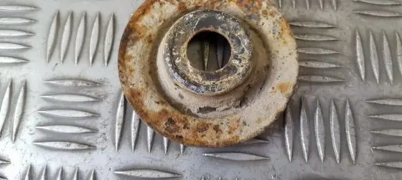 Coil spring mount