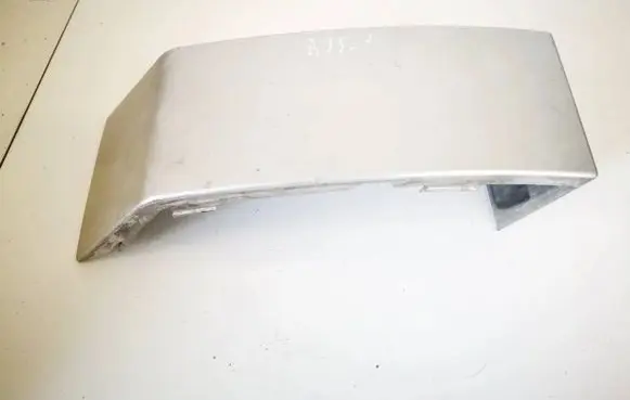 Rear/tail light trim molding