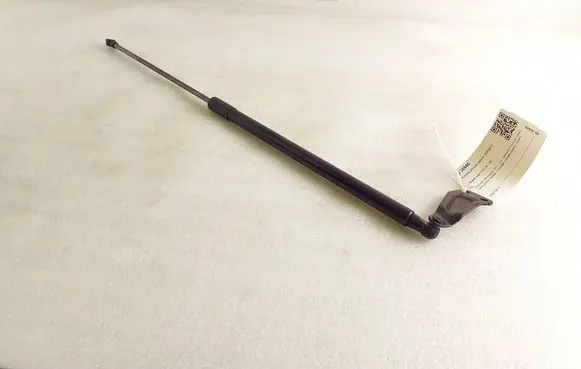Nissan Juke I F15 Tailgate/trunk strut/damper 693117 90450BV81A