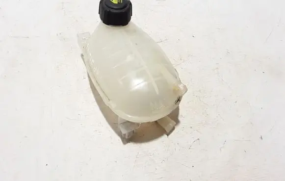 Renault Captur II Coolant expansion tank/reservoir 217102572R