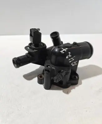 Thermostat/thermostat housing