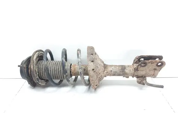 Subaru Forester SG Front shock absorber with coil spring