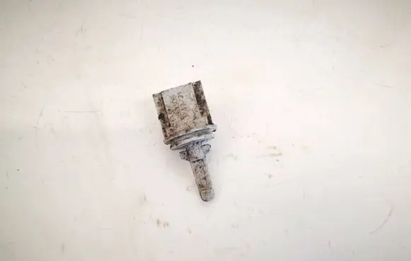 Interior temperature sensor