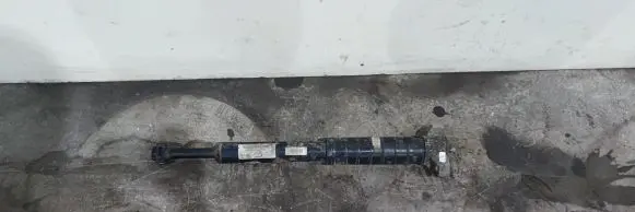 Maserati Levante Rear shock absorber/damper 06700028330