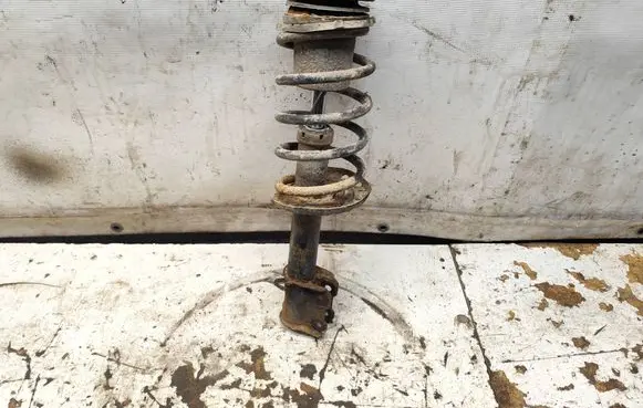 Opel Meriva A Front shock absorber with coil spring mga5637