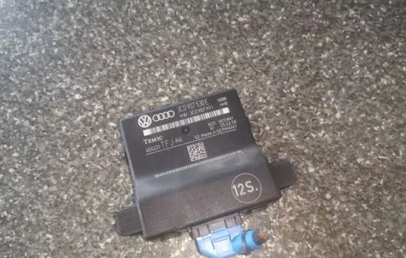 Volkswagen PASSAT B6 Other control units/modules 3C0907530E