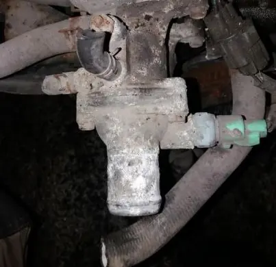Honda Accord Engine coolant pipe/hose